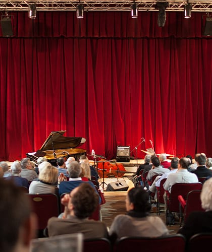 Audience waiting for theatre performance to begin
