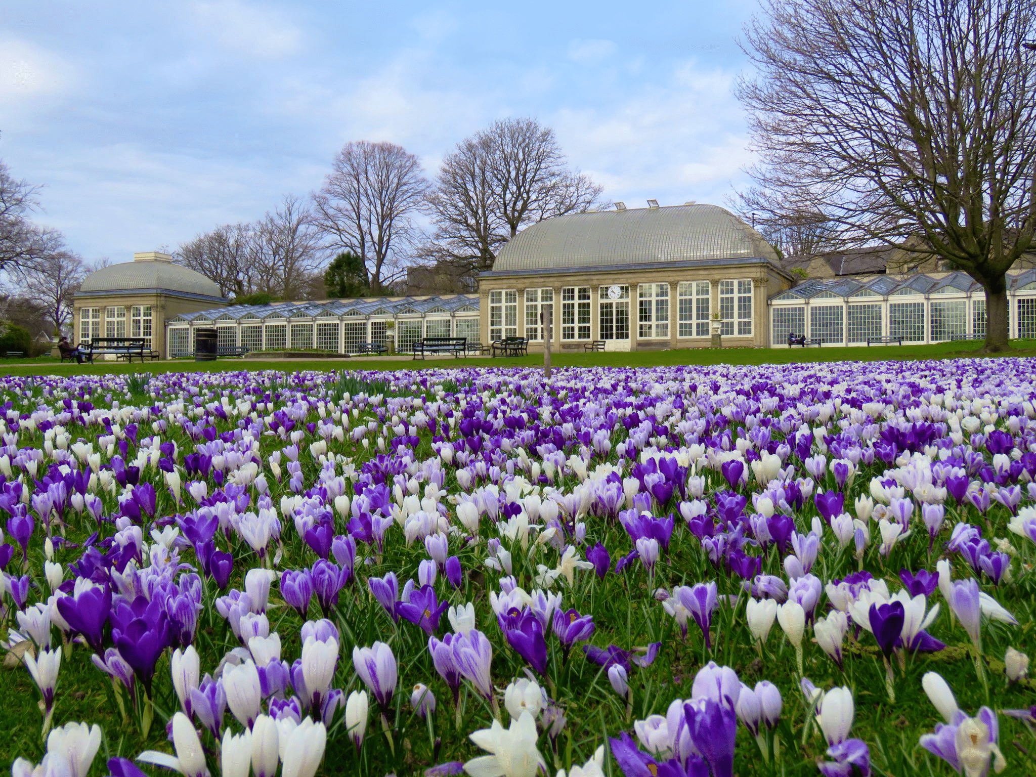 Photograph of flowers at the Botanical Gardens