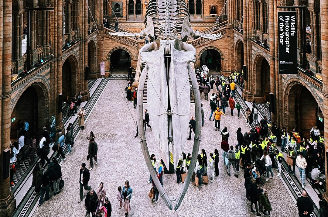 natural history museum